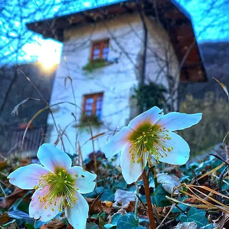 Il Roccolino Hytte *