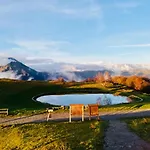 Il Roccolino *