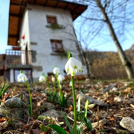 Hytte Il Roccolino