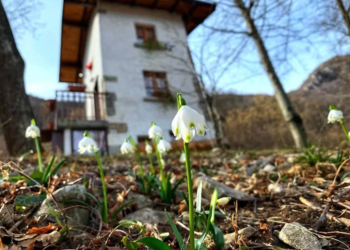 Hytte Il Roccolino